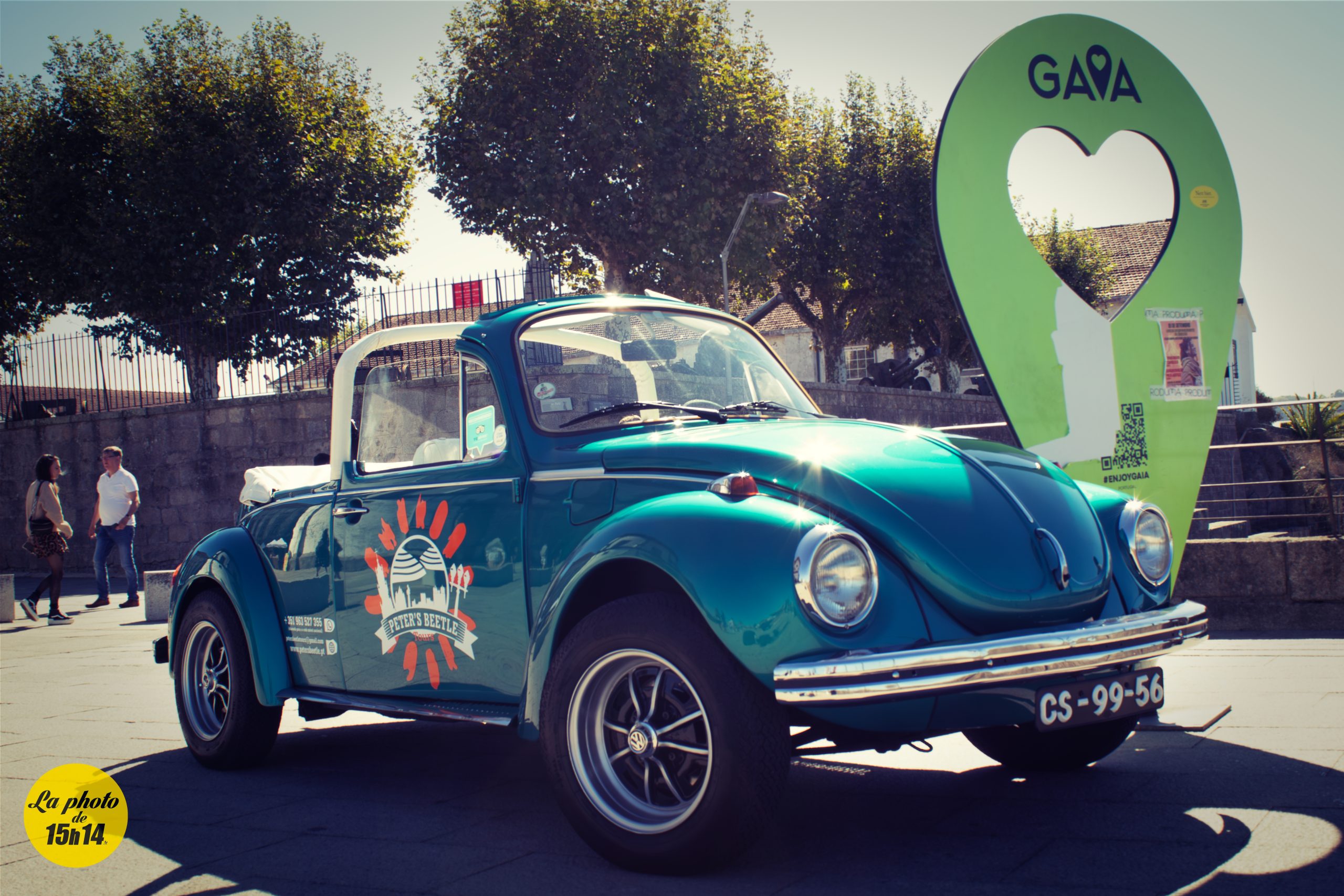 Coccinelle sous le soleil de Gaia