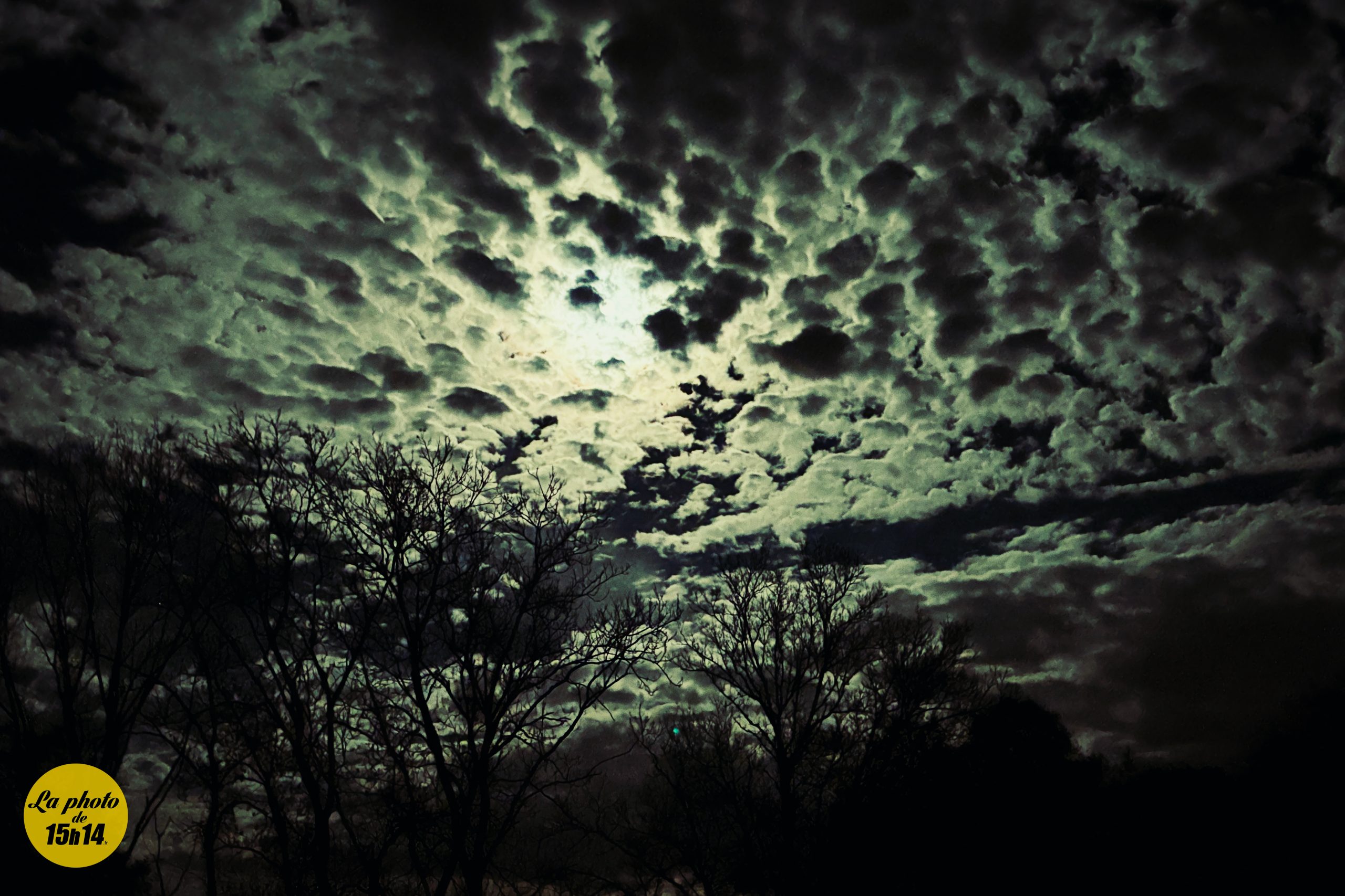 🌕 Pleine lune dans les Dombes