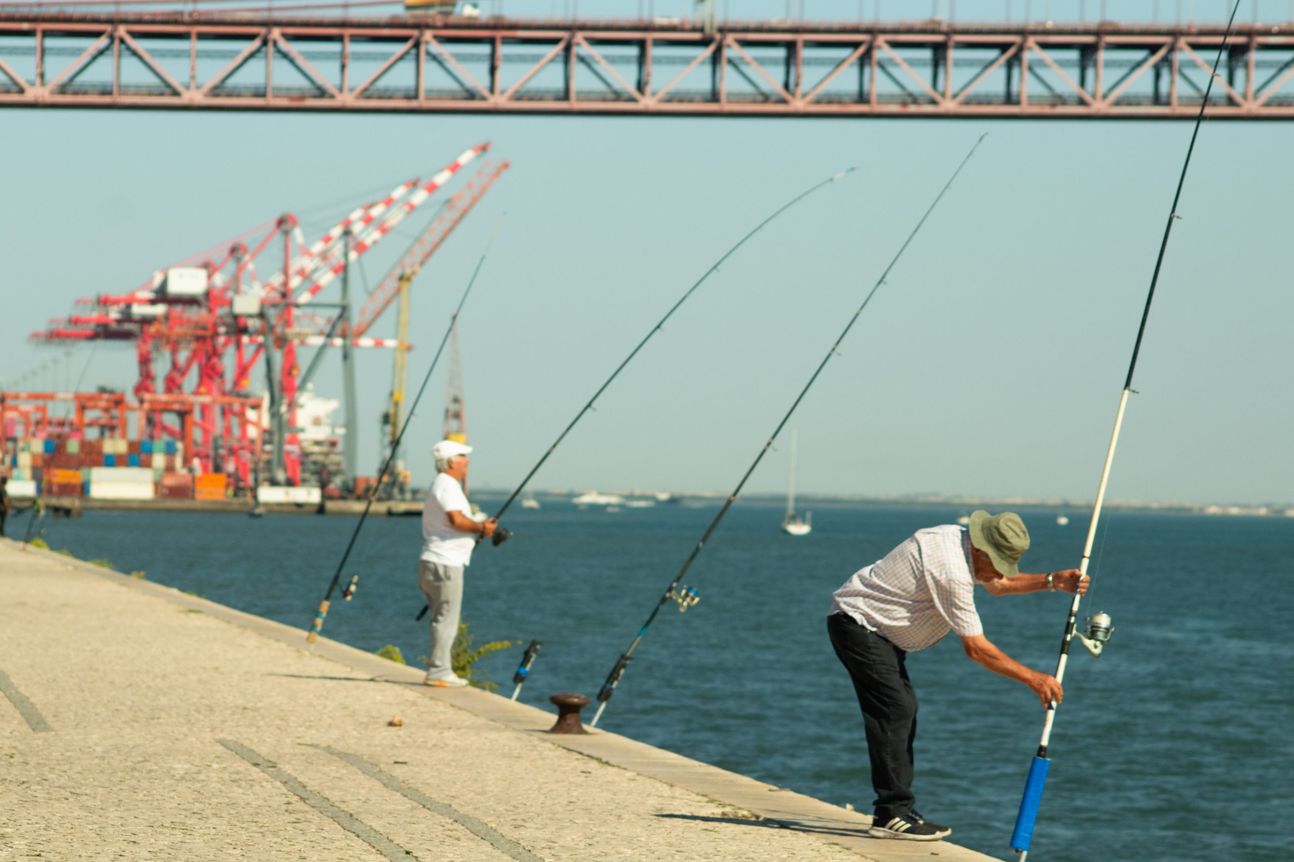🎣 Pêcheur au bord du Tage, Lisbonne