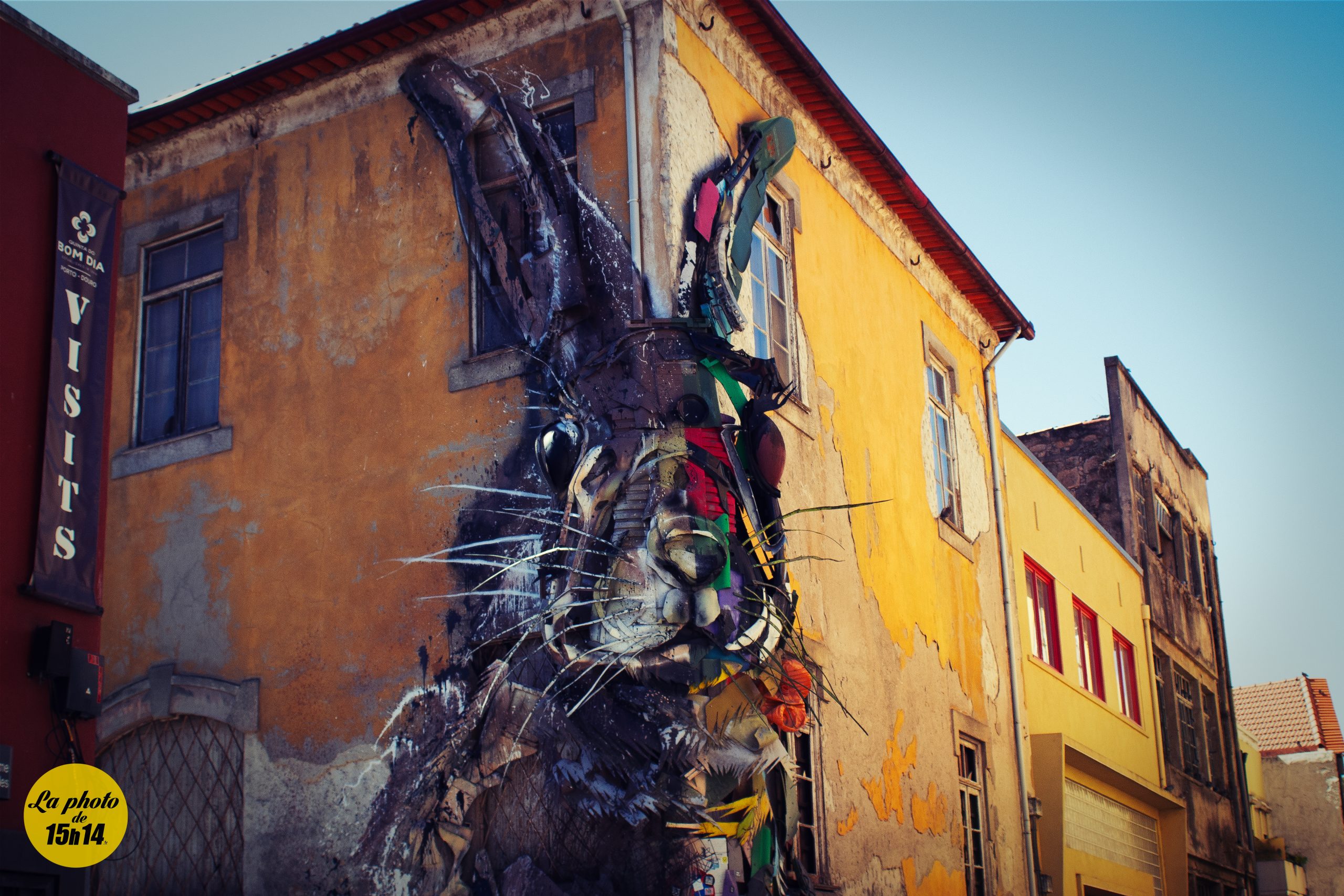 🐇 Lapin géant de Bordalo II, Porto